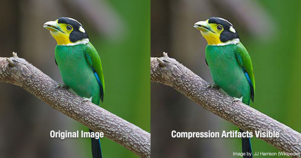JPEG Compression Artifacts Comparison 2x